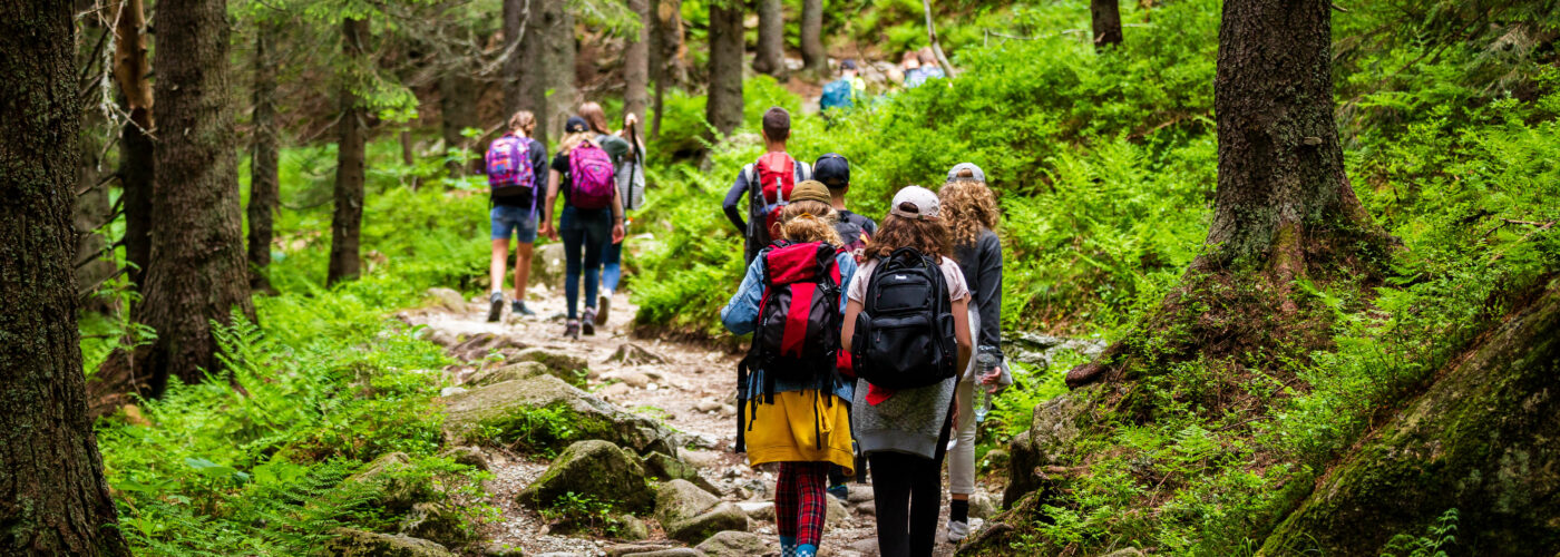 groups of children hiking through forest