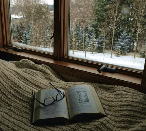 Snowy Day Reading